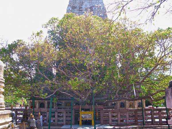 Bodh Gaya